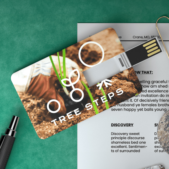 Chiavetta USB a Carta di Credito Chiavetta USB a Carta di Credito