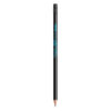 matite bic nere