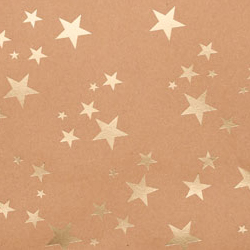 colore craft stelline Sacchetti Regalo in Carta Natalizi